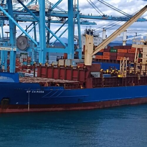 The extraordinary jump in exports underscores the broader trade disruptions now rippling across the global economy.